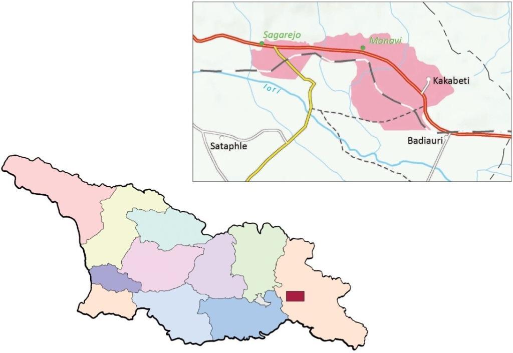 manavi