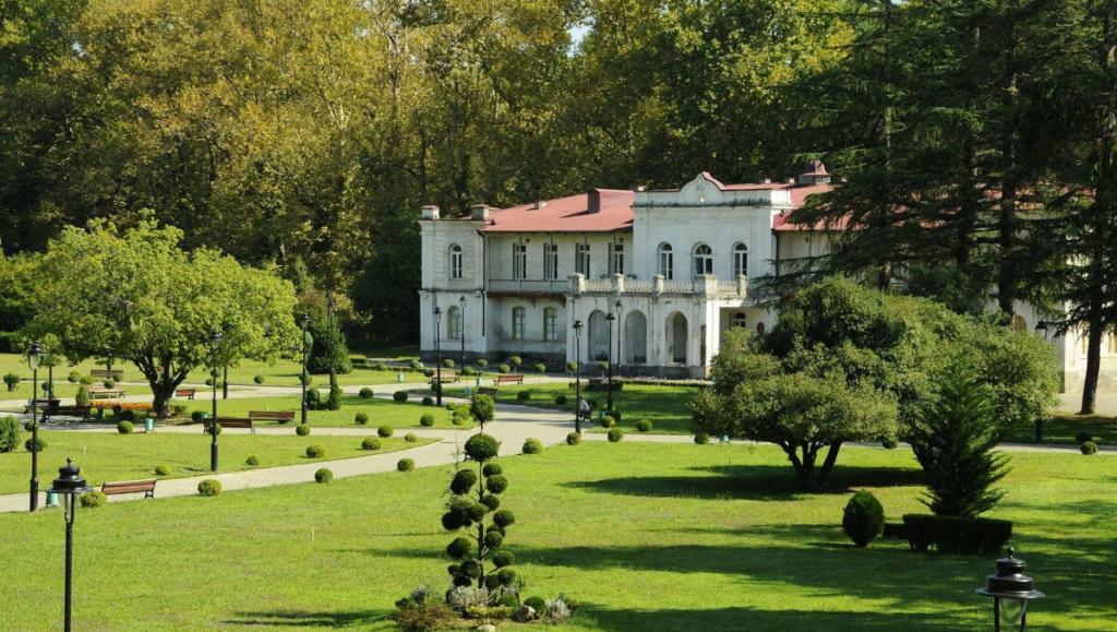 zougdidi jardin