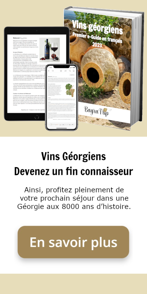 guide vin géorgien