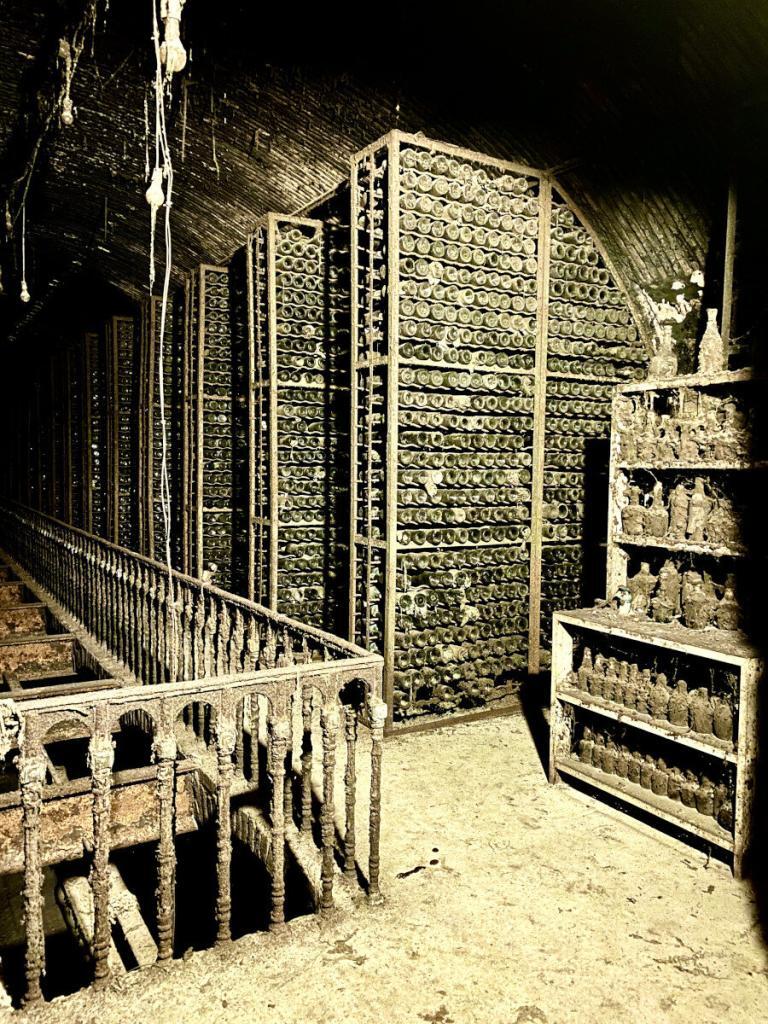 wine factory N1