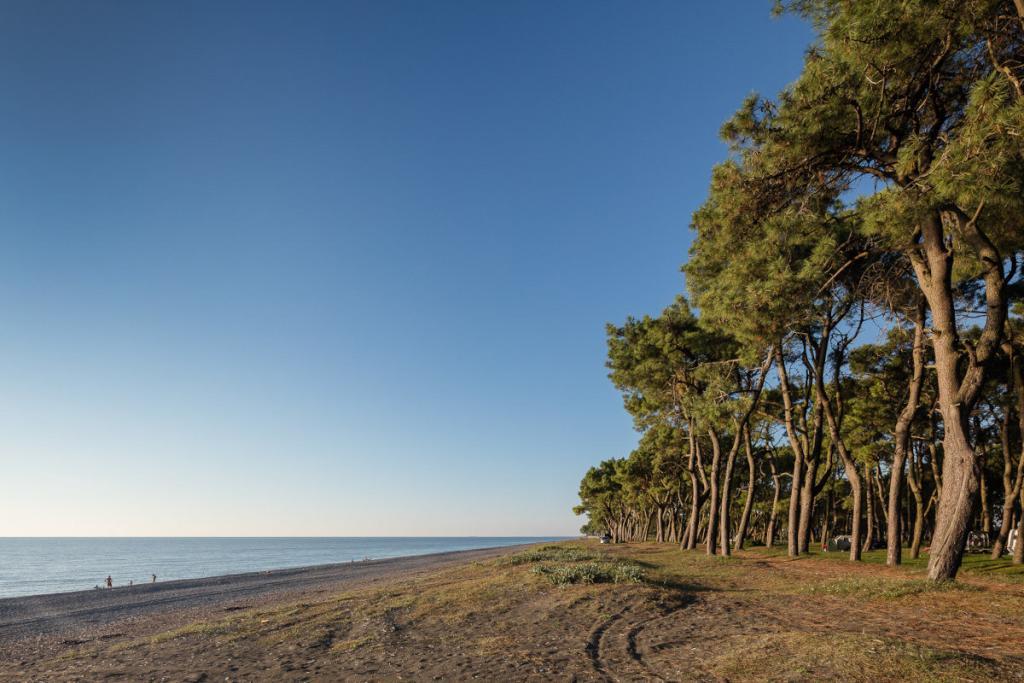 Plage Shekvetili