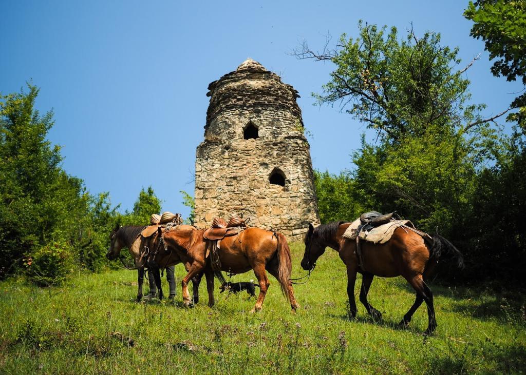 Pankisi tour de guet