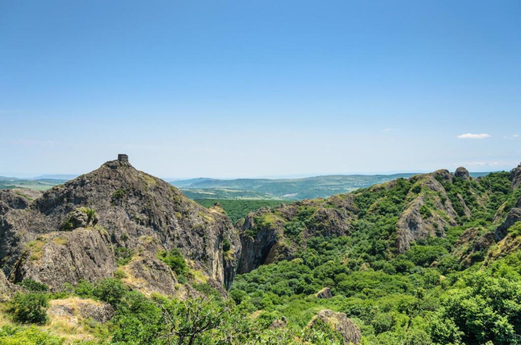 Birtvisi forteresse