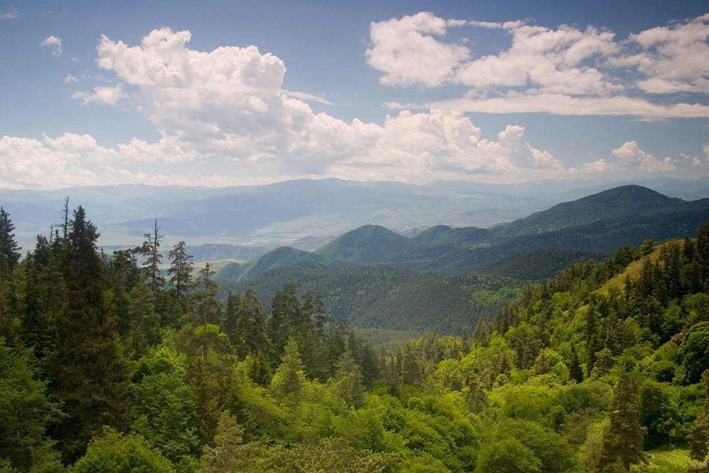 borjomi