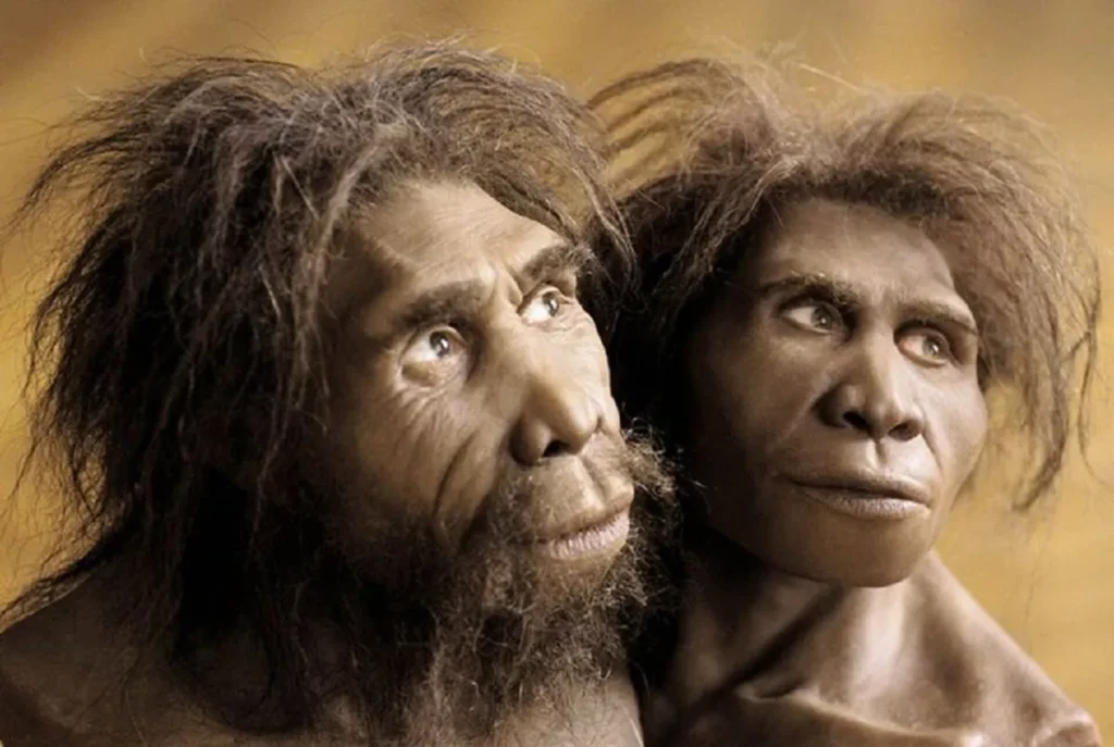 homo georgicus
