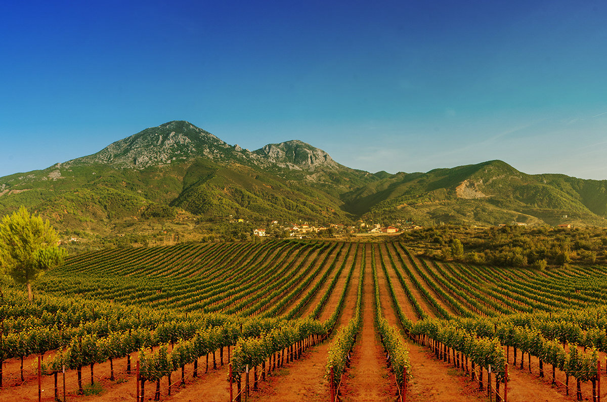 kallmet-terroir kallmet terroir