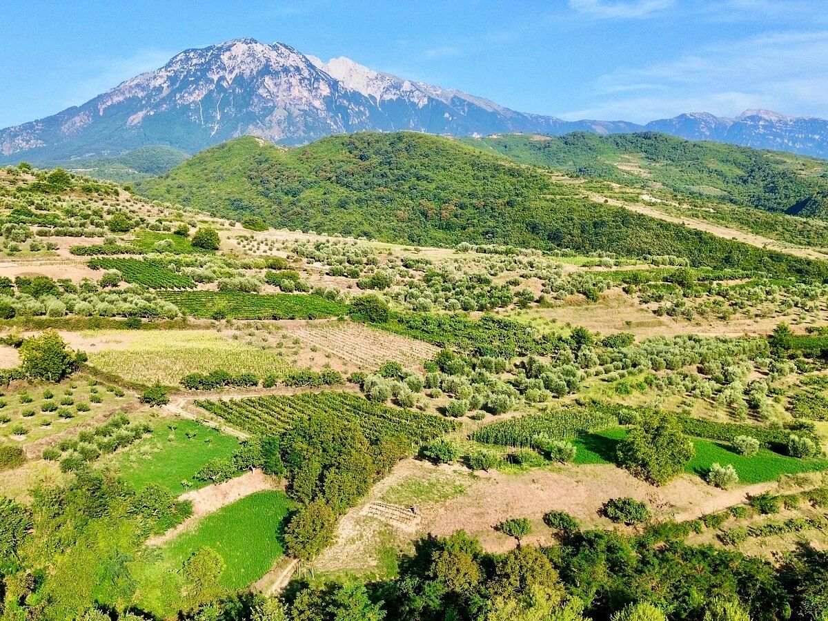 Alpeta Agrotourism & Winery 