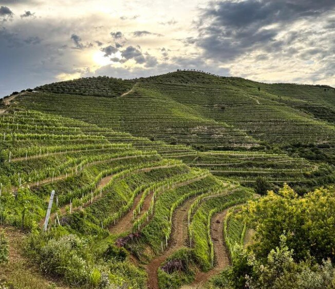 vignoble de Çobo Winery