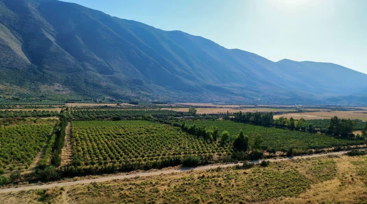 Kantina & Ferma Dukat