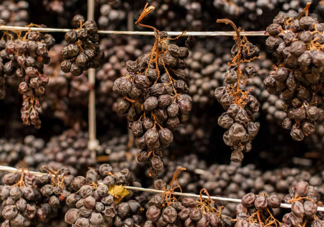 Zebib Razines Kakhani : Art millénaire des raisins suspendus en Arménie