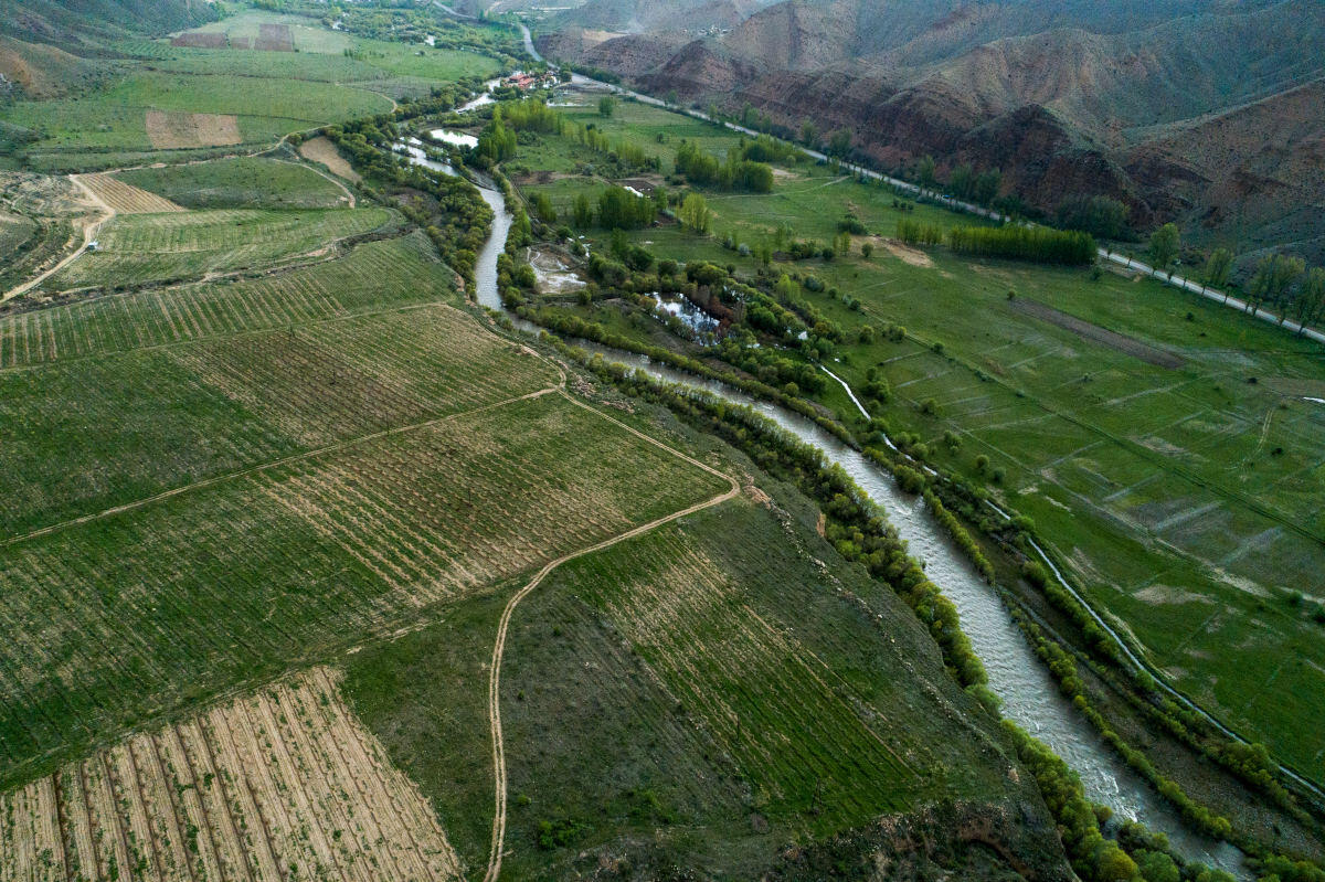 Vayots-dzor-vineyard