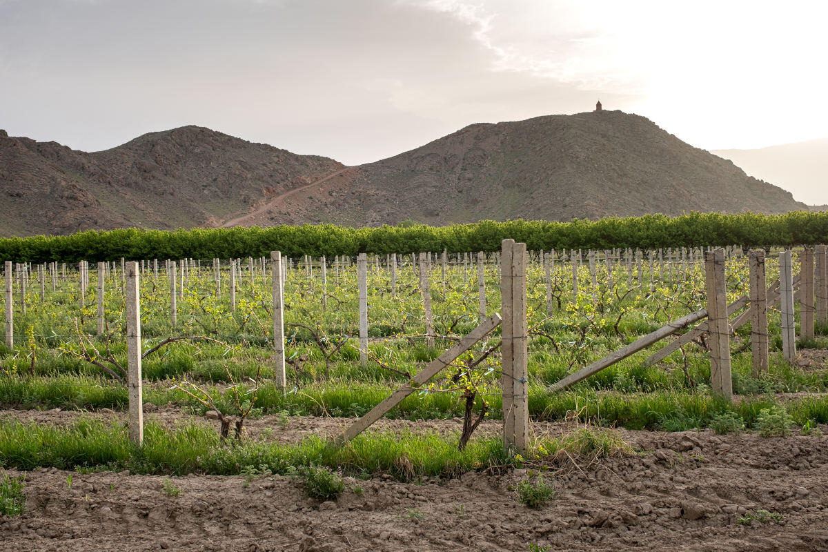 ararat-valley.-wine-region