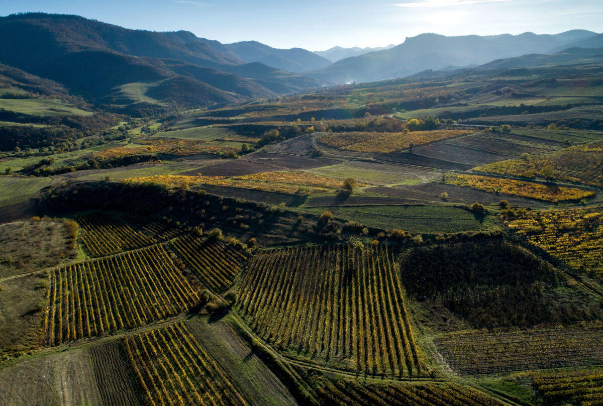 tavush-wine-region